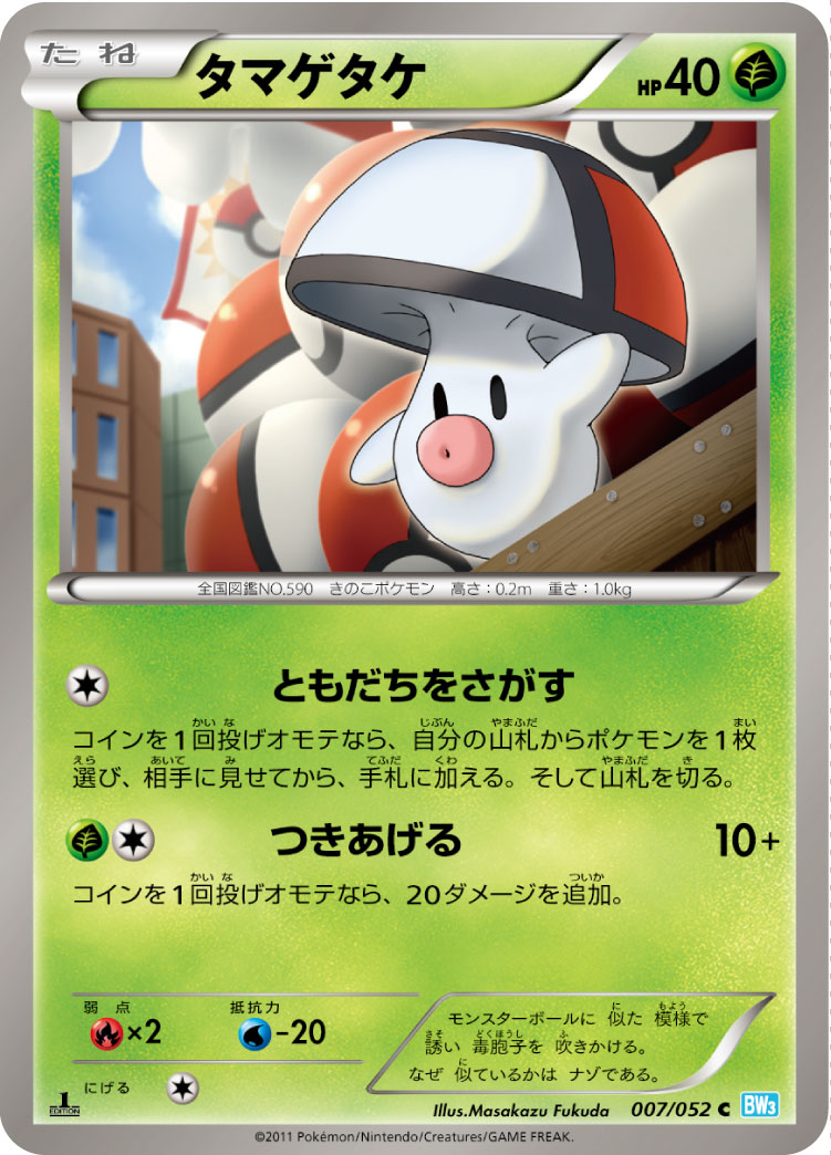 タマゲタケ