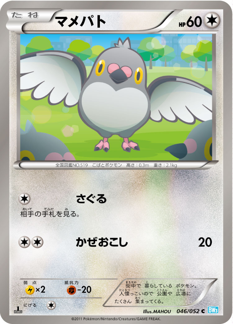 マメパト
