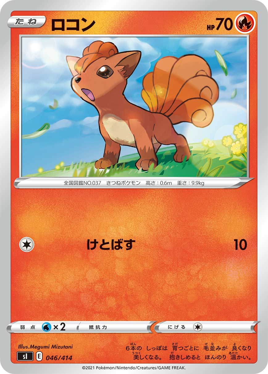 ロコン