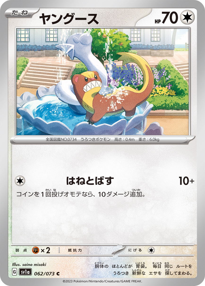 ヤングース