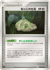 ねっこの化石
