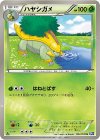 ハヤシガメ