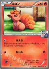 ロコン