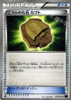 こうらの化石 カブト