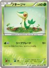 ツタージャ