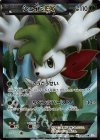 シェイミEX
