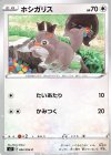 ホシガリス