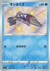 サシカマス