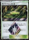 ライフフォレスト◇