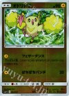 オドリドリ