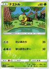 ナエトル