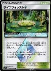ライフフォレスト◇