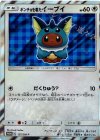ポンチョを着たイーブイ