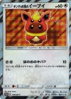 ポンチョを着たイーブイ