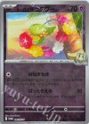 リーリエのキュワワー