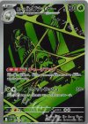ロケット団のワナイダー