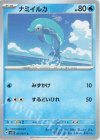 ナミイルカ