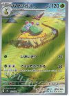 ハヤシガメ
