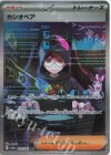 カシオペア