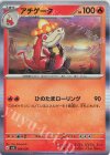 アチゲータ