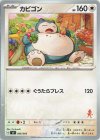 カビゴン(ルカリオ)