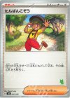 たんぱんこぞう(ニャオハ)
