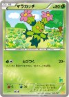 マラカッチ(ビリジオン)