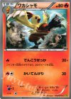 ワカシャモ