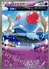 メノクラゲ